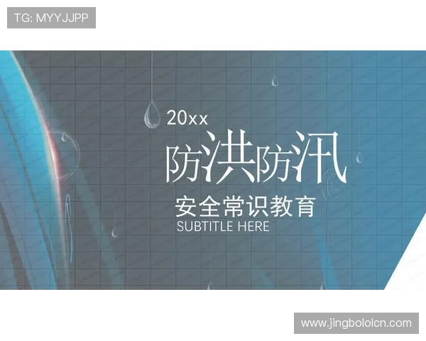 如何安全高效完成SO米体育会员登录步骤确保账号信息安全